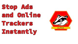 Setup Privacy Badger  Easiest Way To Block Ads and Trackers Online [upl. by Clift]