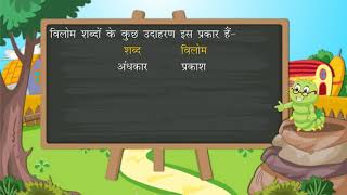 विलोमविपरीतार्थक शब्द  Antonyms  Hindi Grammar  Class 5  Ch 15 [upl. by Hedwiga77]