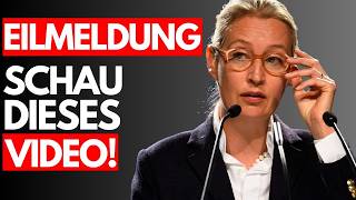 ALICE WEIDEL zerstört quotDie 100quot PROPAGANDA Show und will GEZ sofort ABSCHAFFEN [upl. by Ibmat]