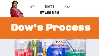 1060 Dows Process  CBSE Class 12 chemistry halo alkanes and arenes [upl. by Elleoj]