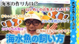 【ゆっくり解説】淡水魚？海水魚？「サケ」とは何者なのか？を解説赤いのに白身の理由と鮭の帰巣本能 [upl. by Fayre]