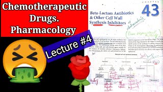 Chemotherapeutic pharmacologyChap43lec 4Beta lactam antibiotics cell wall synthesis inhibitors [upl. by Mercola]