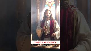 THE LITANY OF THE MOST PRECIOUS BLOOD OF JESUS CHRIST 2024 rosarytoday catholicprayer [upl. by Seravaj]