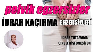 PELVİK TABAN EGZERSİZLERİ  İDRAR KAÇIRMA  CİNSEL DİSFONKSİYON  Fizyoterapist Aynur BAŞ [upl. by Enelaj163]