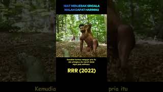 Ketika pria ini ingin menjebak srigala cuplikanfilm [upl. by Ormand]