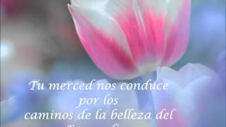 Día de la Merced wmv [upl. by Aynekat]