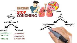 Pharmacology of the cough  Antitussive  Expectorant and Mucolytic drugs [upl. by Latsirk]