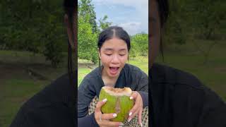 Kỹ năng sinh tồn bà mẹ đơn thân có kỹ năng hái dừa🥥 trong rừng survival outdoors skills [upl. by Chin831]