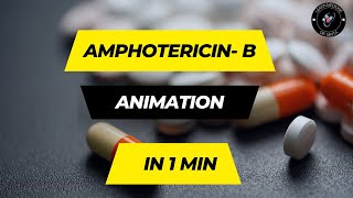 Amphotericin B Mechanism of Action Animation  DR Nikita  Amphotericin B Mechanism of Action [upl. by Okeim]