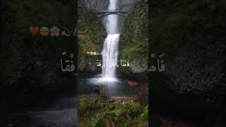 Raqqat Aina Ya Shoqan  Lyrics Urdu  Assalamu Alayka Ya Rasool Allah [upl. by Abate83]