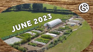 June 2023 Tour of our Market Garden and Food Forests [upl. by Emilee88]