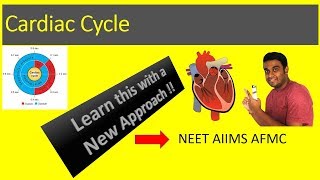 Cardiac Cycle [upl. by Tikna922]