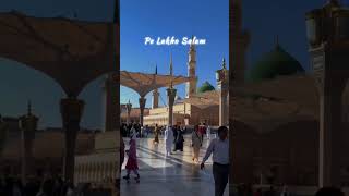 Ya Nabi Salam Alaika  Owais Raza Qadri  naat naatstatus viralkalam [upl. by Vina]