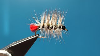 Fly Tying  Woolly Worm [upl. by Agan]