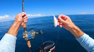 Tiny Bait Catches Big Bottom Dwelling Fish  Offshore Ocean Bottom Fishing [upl. by Coulson948]