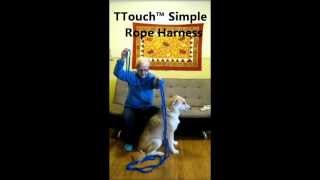 Tellington TTouch® Simple Rope Dog Harness [upl. by Madox]