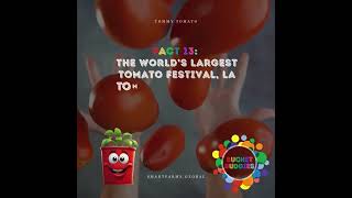 Tomato Fact 13  Bucket Buddies  garden sustainablefarming tomatoes gardening smartfarms [upl. by Kerad]