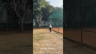 fielding tips in cricket 🏏catchingcricketbowlingcatch [upl. by Initsed]