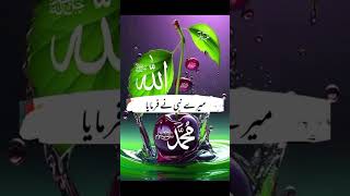 Mere Nabi Ka Farman [upl. by Burbank]