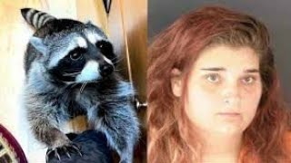 Alicia Kincheloe Sentenced  Stabbing Burning a Racoon While Filming • SENTENCES [upl. by Demaria207]