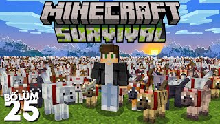 Bir Deney İçin 1000 Kurt Evcilleştirdim Yeni Türler  Minecraft Survival 25 [upl. by Anemolif]