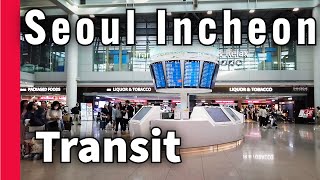 【Airport Tour】2023 How to Transit in Seoul Incheon Airport [upl. by Eisnil843]