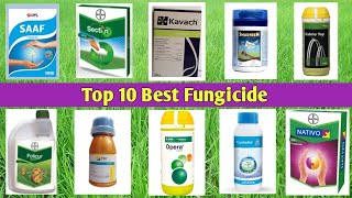 Top 10 Best Fungicide [upl. by Evangelina]