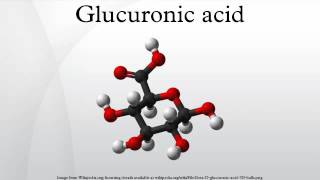 Glucuronic acid [upl. by Faustine]