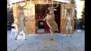 Santa and Reindeer Dancing  Merry Christmas  Happy New Year 2024 [upl. by Enelad358]