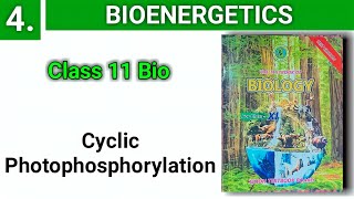 Cyclic Photophosphorylation  Bioenergetics  class 11 bio [upl. by Lisle]