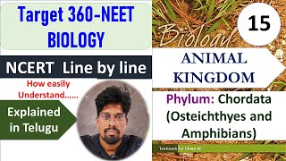 NCERTANIMAL KINGDOM15 NEET NCERT Biology line by line explanation in Telugu Class 11 HSR Bioin [upl. by Lunneta733]