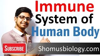 Innate and adaptive immunity  immune system of human body lecture [upl. by Rubetta109]