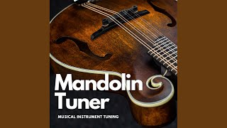 Mandolin Tuner [upl. by Akena813]