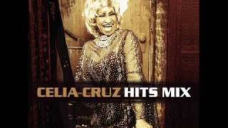 Celia Cruz La Vida Es Un Carnaval ReggaeLatino Mix [upl. by Jemena]