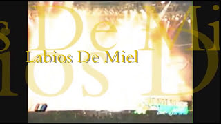 Luis Miguel  Labios De Miel Video Poco Visto 2016 [upl. by Haldis508]