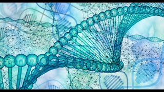 Extraction and Purification of CPhycocyanin from Spirulina Powder and Evaluating its Antioxidant [upl. by Eiramllij709]