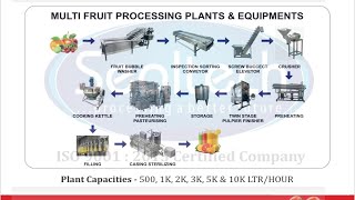 Sealtech engineers Mango pulping Turnkey project 1TPH Multi fruit juicing and pulping plant [upl. by Alleras]