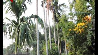 AKOU KHAPLANG KAI  আকৌ খাপলাং কাই  Episode 68  5 December 2014 [upl. by Willamina220]