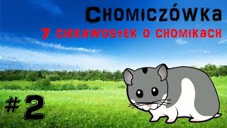 🐹 Chomiczówka 2  7 CIEKAWOSTEK O CHOMIKACH DŻUNGARSKICH [upl. by Cran405]