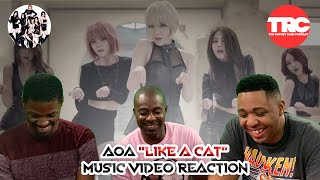 AOA quotLike A Catquot Music Video Reaction [upl. by Enair656]