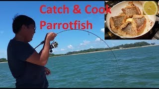 Reef Fishing amp Lemon Butter Parrotfish Ep 68 ONZZ Fishing Singapore Catch amp Cook [upl. by Ilaire]