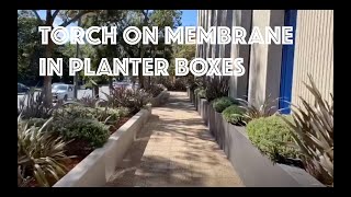 Planter Box Waterproofing  Soprema Torch On Membrane [upl. by Beall]