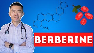 The Truth About Berberine  What you need to know [upl. by Blank100]