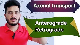 axonal transportaxoplasmic transportaxoplasmic flowmdcat neet biology [upl. by Ahsenad598]