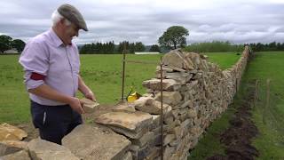 Walls of Stone How to Build Drystone Walls and Rock Fences [upl. by Kassity]