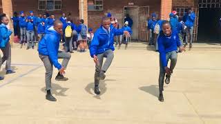 The Best Amapiano Dance of 2023 [upl. by Annoirb791]