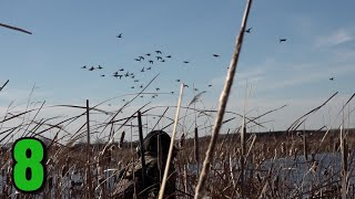 Awesome Afternoon Hunt Pintails EVERYWHERE Public Land Duck Hunting [upl. by Melanie]