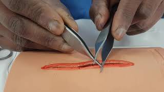 Forceps and Scissors Handling [upl. by Ajile]