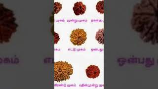 27 நட்சத்திரங்களும் அணிய வேண்டிய ருத்திராட்சம் எவை ‎Bharaniastrologytips [upl. by Honniball7]