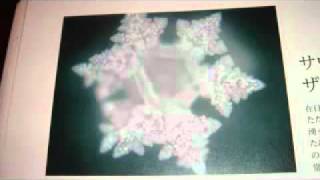 Zamzam Water A Research work by Dr Masaru Emotoflv [upl. by Enaile]